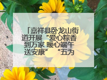 嘉祥县卧龙山街道开展“爱心粽香到万家 暖心端午送安康” “五为”志愿服务活动
