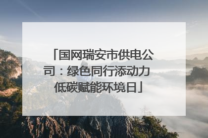 国网瑞安市供电公司：绿色同行添动力 低碳赋能环境日