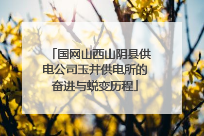 国网山西山阴县供电公司玉井供电所的奋进与蜕变历程