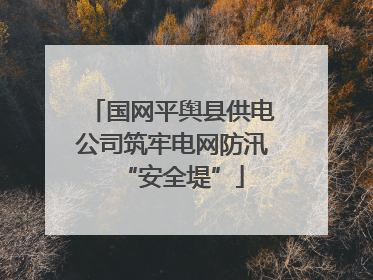 国网平舆县供电公司筑牢电网防汛“安全堤”