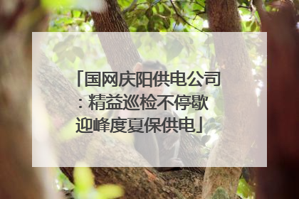 国网庆阳供电公司：精益巡检不停歇 迎峰度夏保供电