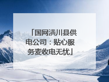 国网潢川县供电公司：贴心服务麦收电无忧