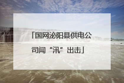 国网泌阳县供电公司闻“汛”出击