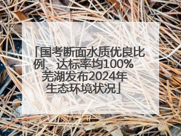 国考断面水质优良比例、达标率均100% 芜湖发布2024年生态环境状况