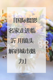 国际摄影名家走进临沂 用镜头解码城市魅力