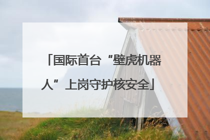 国际首台“壁虎机器人”上岗守护核安全