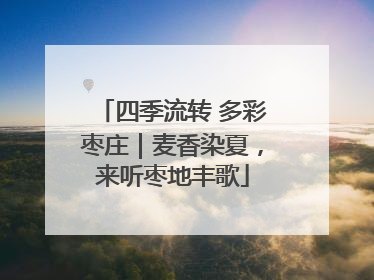 四季流转 多彩枣庄｜麦香染夏，来听枣地丰歌