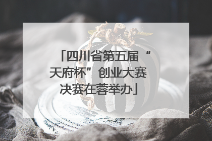 四川省第五届“天府杯”创业大赛决赛在蓉举办