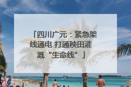 四川广元：紧急架线通电 打通秧田灌溉“生命线”