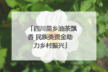 四川苗乡油茶飘香 民族类资金助力乡村振兴
