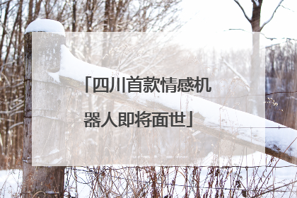 四川首款情感机器人即将面世
