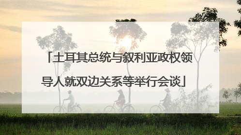 土耳其总统与叙利亚政权领导人就双边关系等举行会谈