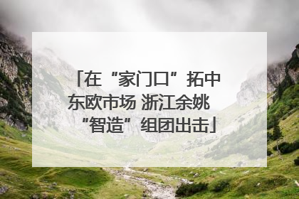 在“家门口”拓中东欧市场 浙江余姚“智造”组团出击