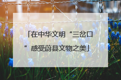 在中华文明“三岔口”感受蔚县文物之美