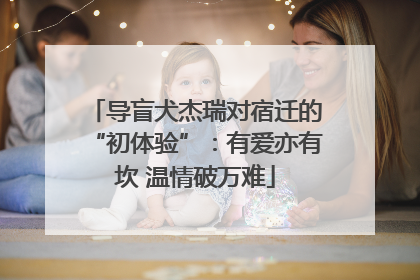 导盲犬杰瑞对宿迁的“初体验”：有爱亦有坎 温情破万难