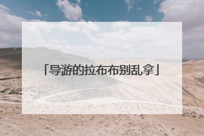 导游的拉布布别乱拿