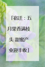宿迁：五月果香满枝头 甜蜜产业迎丰收