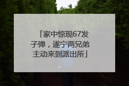 家中惊现67发子弹，遂宁两兄弟主动来到派出所