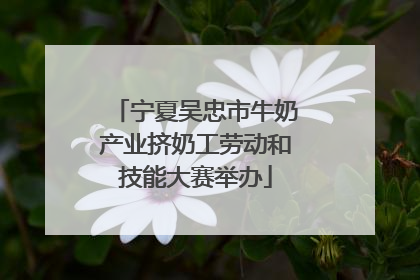 宁夏吴忠市牛奶产业挤奶工劳动和技能大赛举办