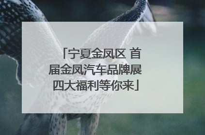 宁夏金凤区 首届金凤汽车品牌展四大福利等你来