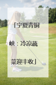 宁夏青铜峡：冷凉蔬菜迎丰收