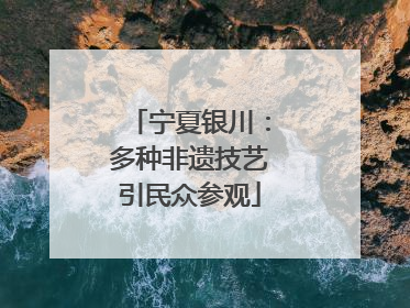 宁夏银川：多种非遗技艺引民众参观