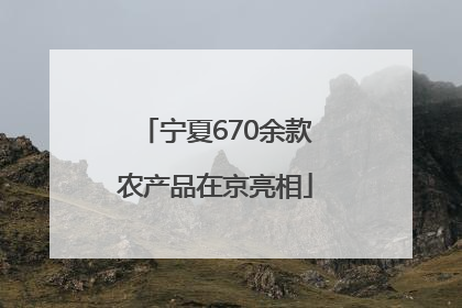 宁夏670余款农产品在京亮相