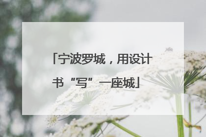 宁波罗城，用设计书“写”一座城