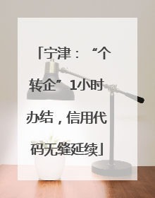宁津：“个转企”1小时办结，信用代码无缝延续