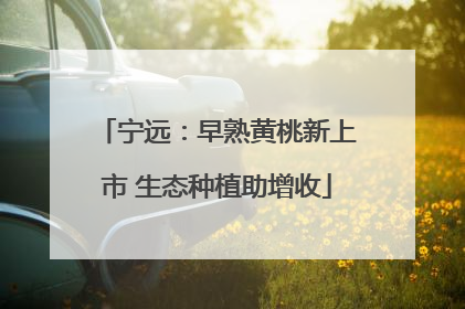 宁远：早熟黄桃新上市 生态种植助增收