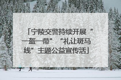 宁陵交警持续开展“一盔一带”“礼让斑马线”主题公益宣传活