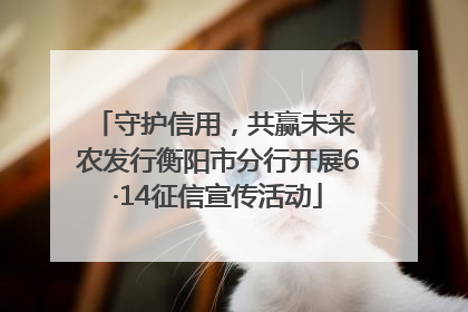 守护信用，共赢未来 农发行衡阳市分行开展6·14征信宣传活动