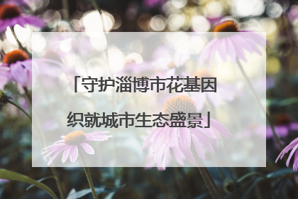 守护淄博市花基因 织就城市生态盛景