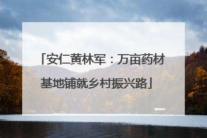 安仁黄林军：万亩药材基地铺就乡村振兴路