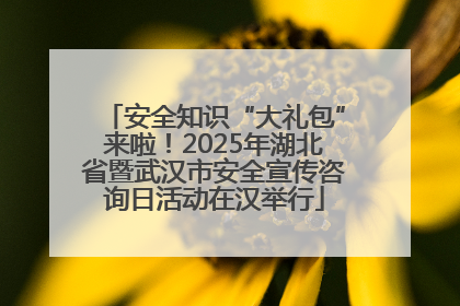 安全知识“大礼包”来啦！2025年湖北省暨武汉市安全宣传咨询日活动在汉举行