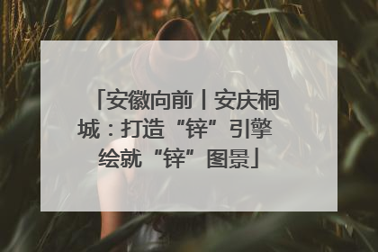安徽向前丨安庆桐城：打造“锌”引擎 绘就“锌”图景