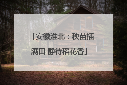 安徽淮北：秧苗插满田 静待稻花香