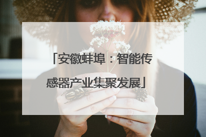 安徽蚌埠：智能传感器产业集聚发展