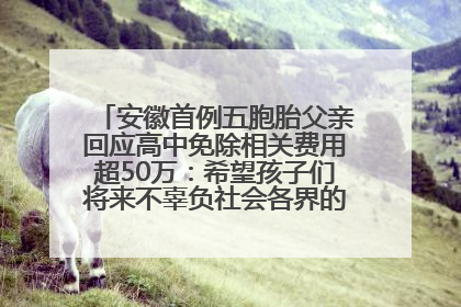 安徽首例五胞胎父亲回应高中免除相关费用超50万：希望孩子们将来不辜负社会各界的帮助与支持