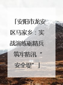 安阳市龙安区马家乡：实战演练砺精兵 筑牢防汛“安全堤”