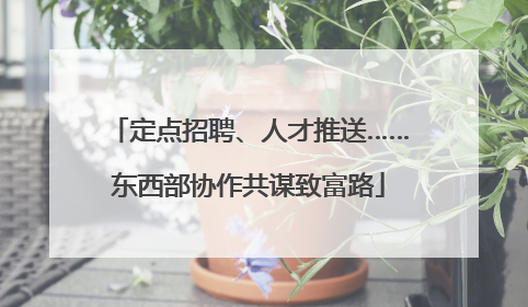 定点招聘、人才推送……东西部协作共谋致富路