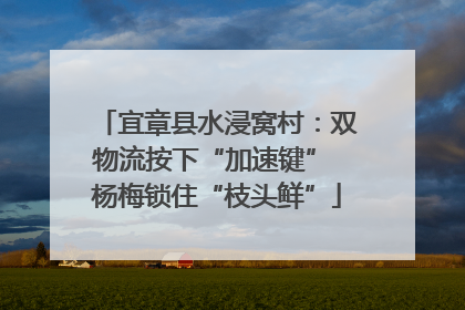 宜章县水浸窝村：双物流按下“加速键” 杨梅锁住“枝头鲜”