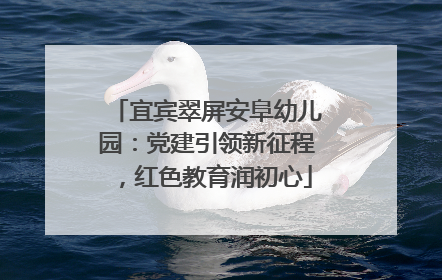 宜宾翠屏安阜幼儿园：党建引领新征程，红色教育润初心