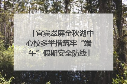 宜宾翠屏金秋湖中心校多举措筑牢“端午”假期安全防线