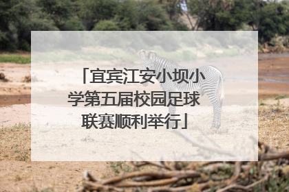 宜宾江安小坝小学第五届校园足球联赛顺利举行