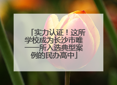 实力认证！这所学校成为长沙市唯一一所入选典型案例的民办高中