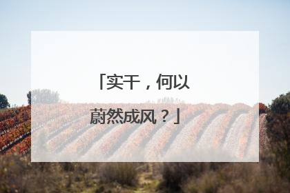 实干，何以蔚然成风？