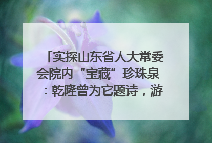 实探山东省人大常委会院内“宝藏”珍珠泉：乾隆曾为它题诗，游客无需预约免费游览