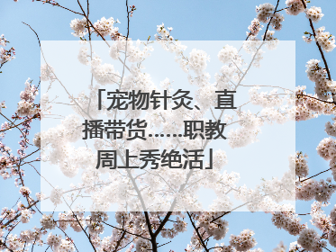 宠物针灸、直播带货……职教周上秀绝活