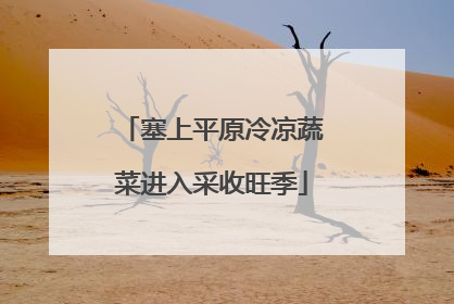 塞上平原冷凉蔬菜进入采收旺季